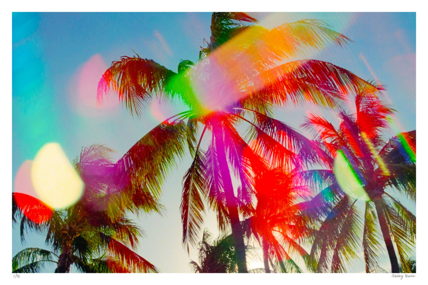 South Beach Pulse No. 4