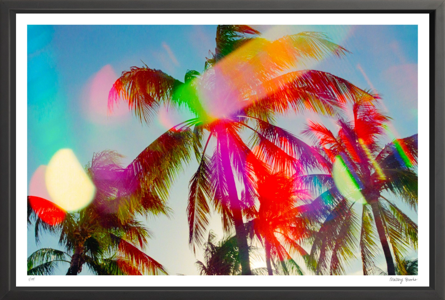South Beach Pulse No. 4