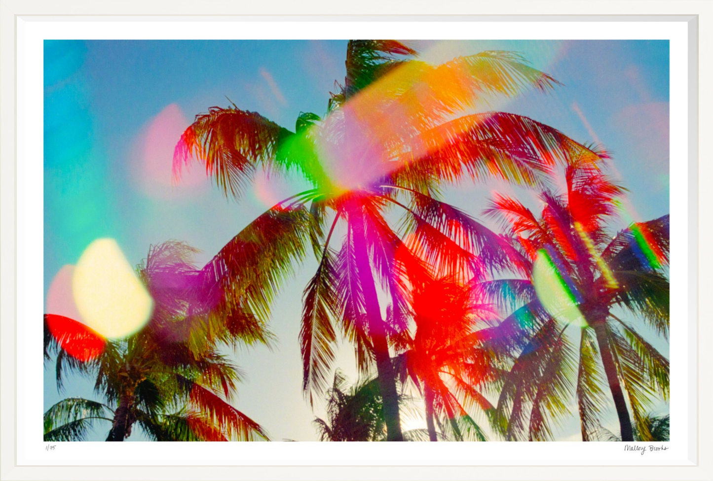 South Beach Pulse No. 4
