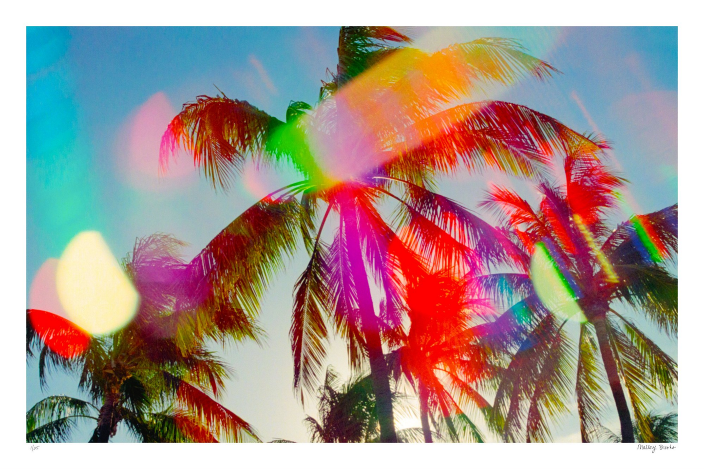 South Beach Pulse No. 4