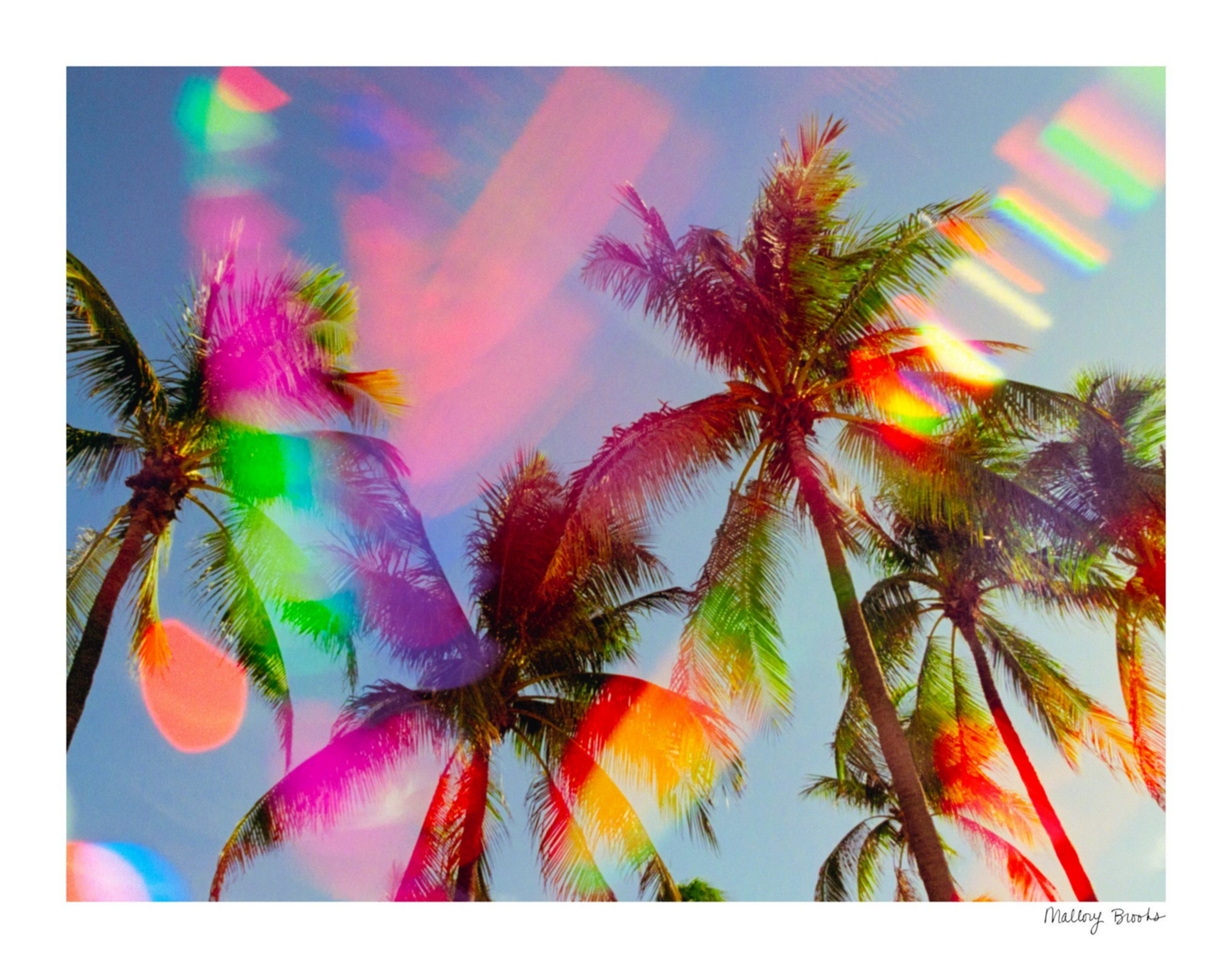 South Beach Pulse No. 5