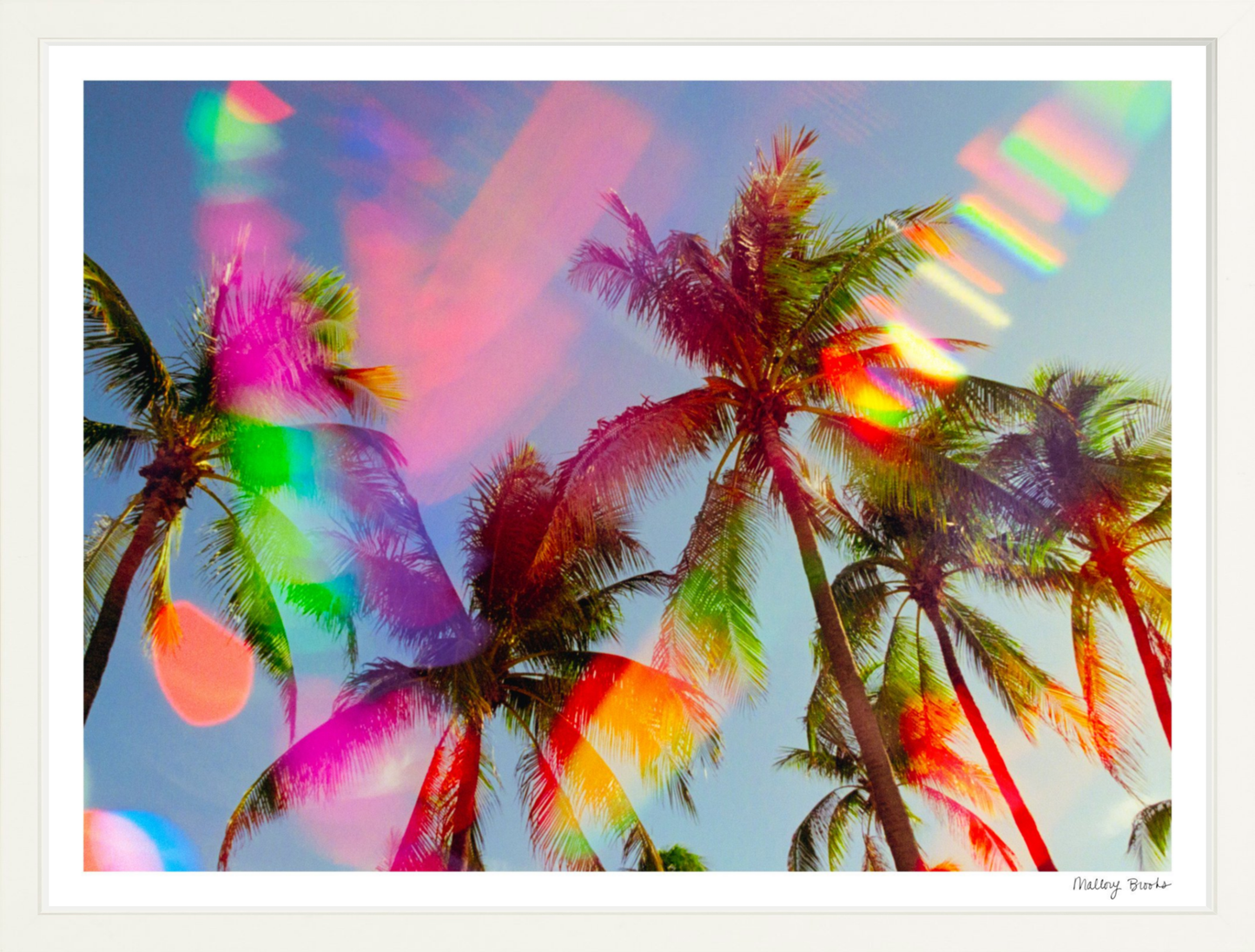 South Beach Pulse No. 5