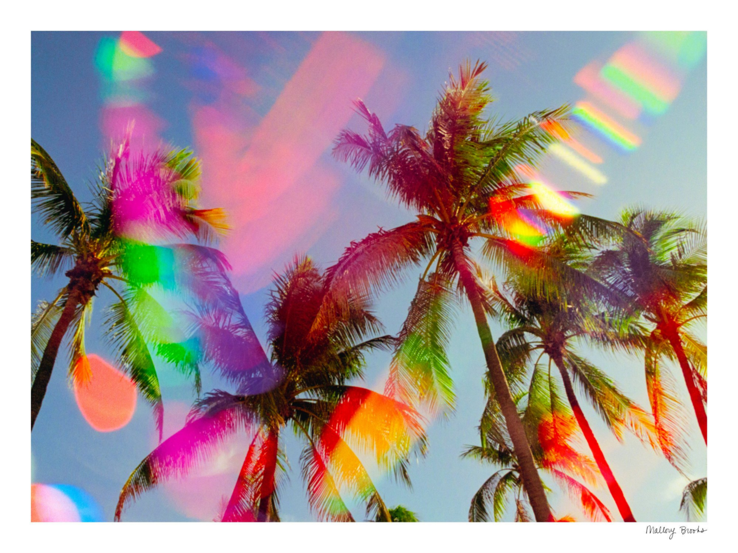South Beach Pulse No. 5
