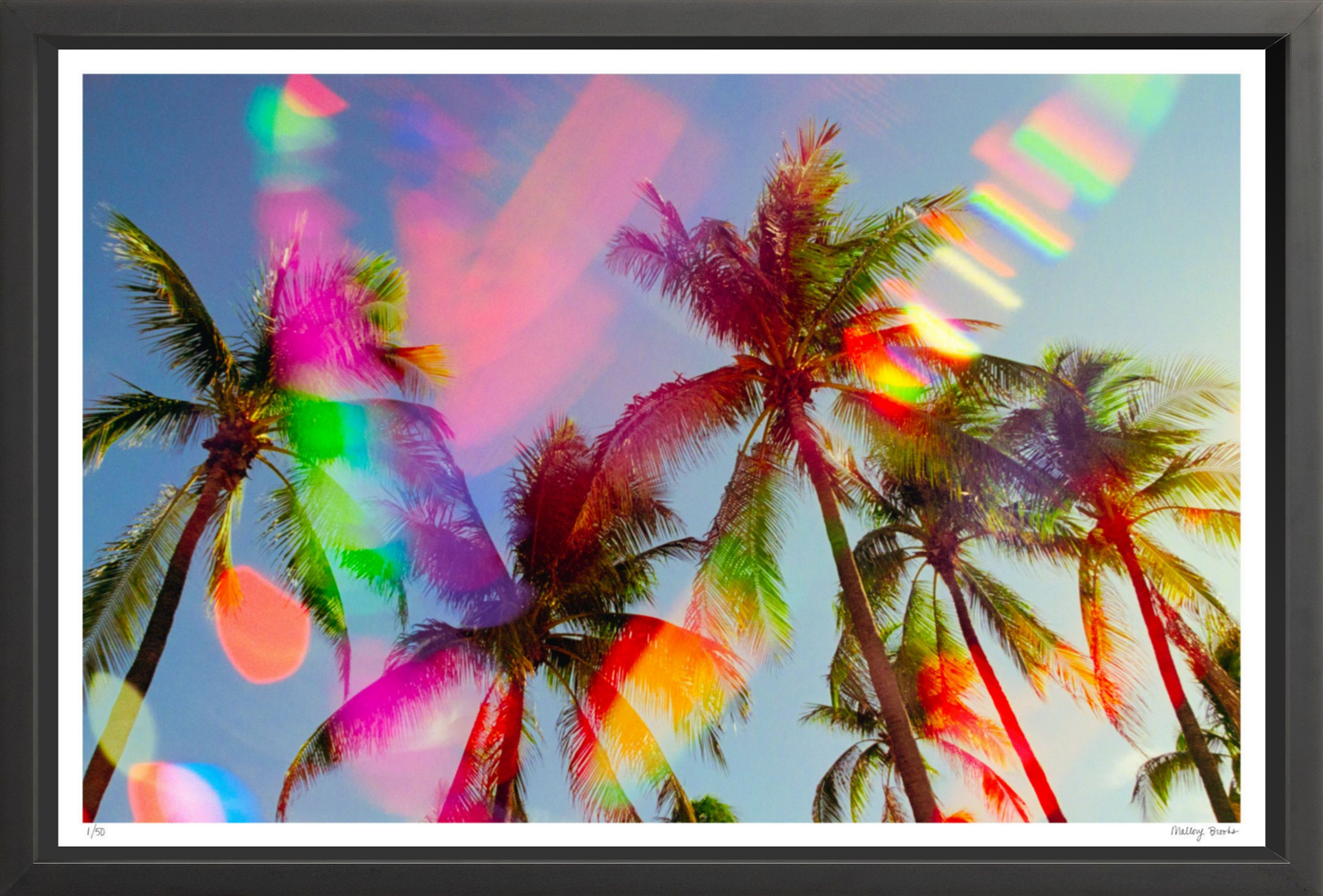 South Beach Pulse No. 5