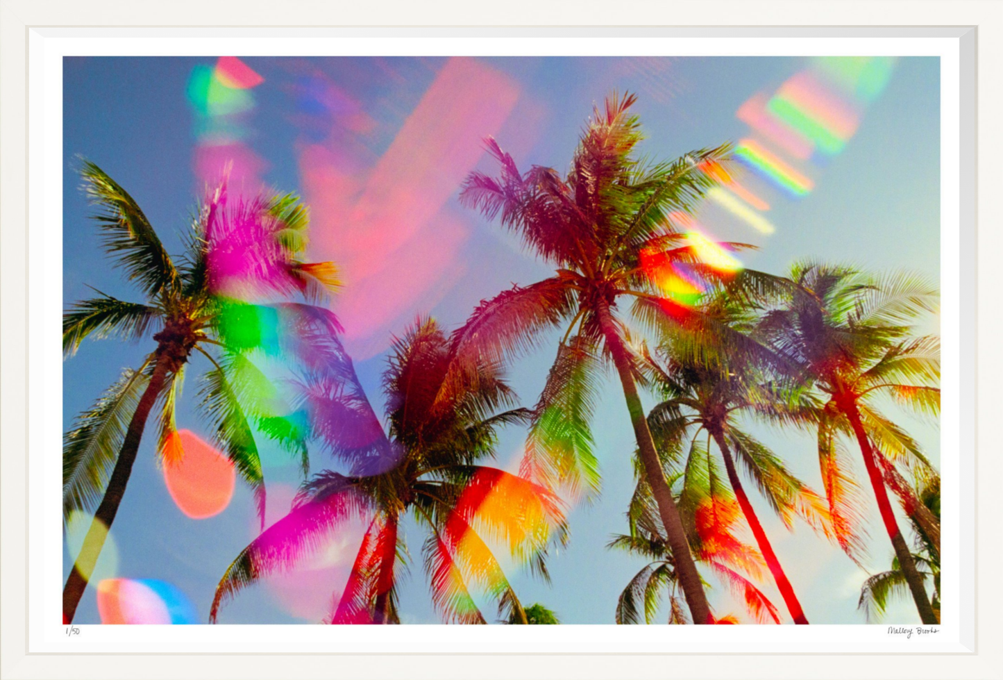 South Beach Pulse No. 5