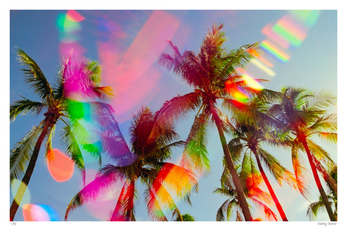 South Beach Pulse No. 5