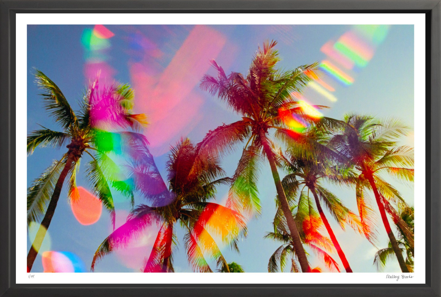 South Beach Pulse No. 5