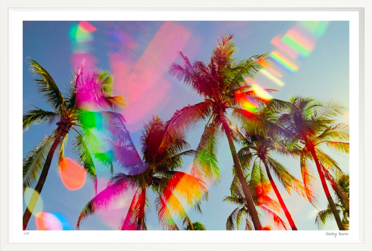 South Beach Pulse No. 5