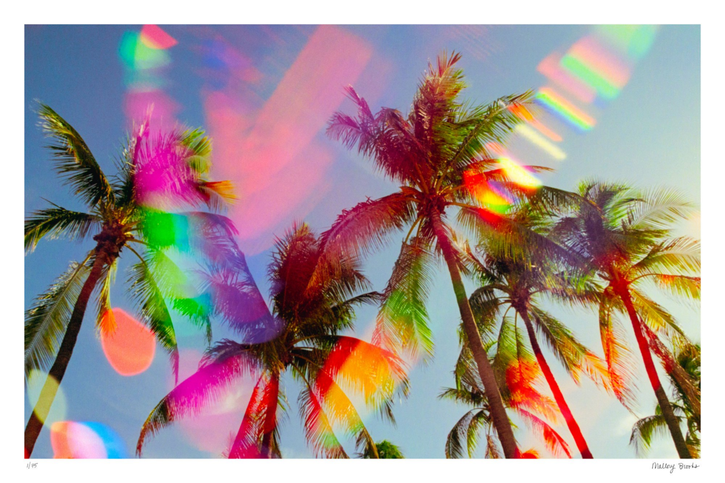 South Beach Pulse No. 5