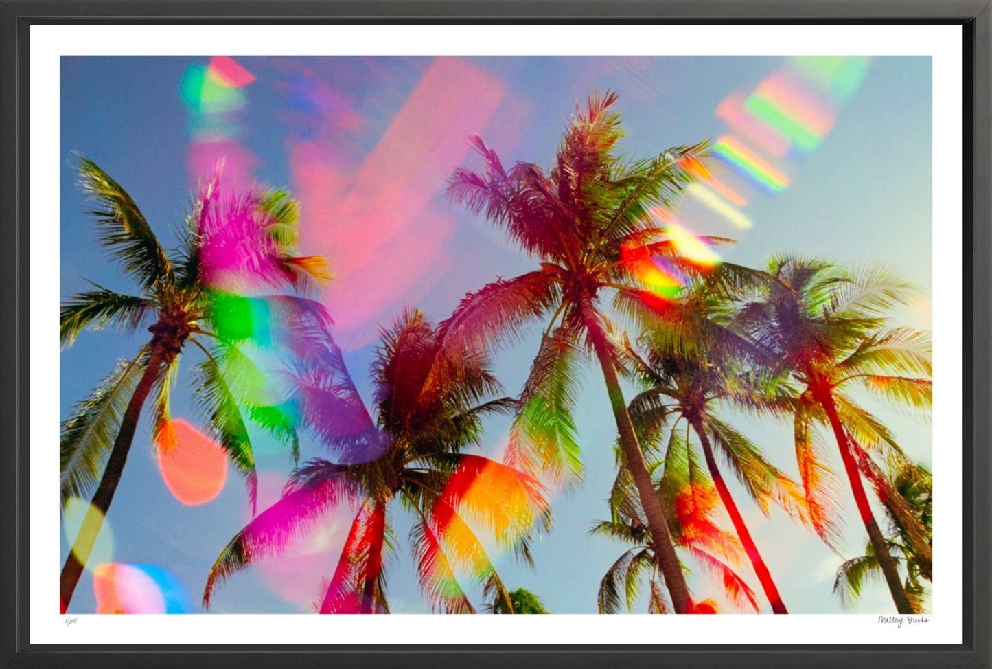 South Beach Pulse No. 5