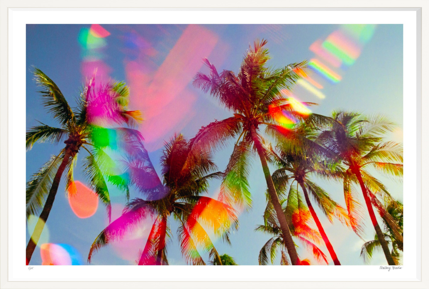 South Beach Pulse No. 5