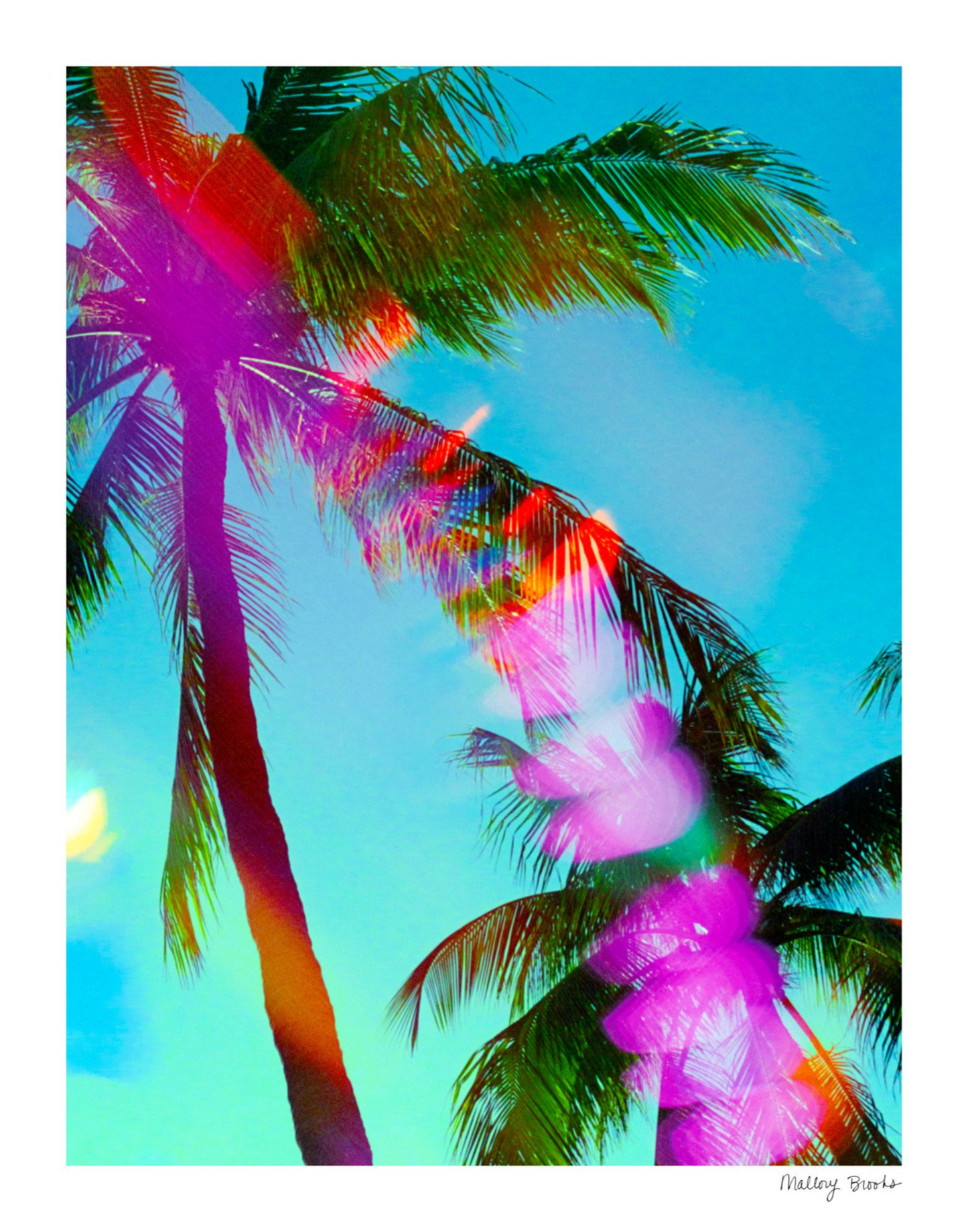 South Beach Pulse No. 7