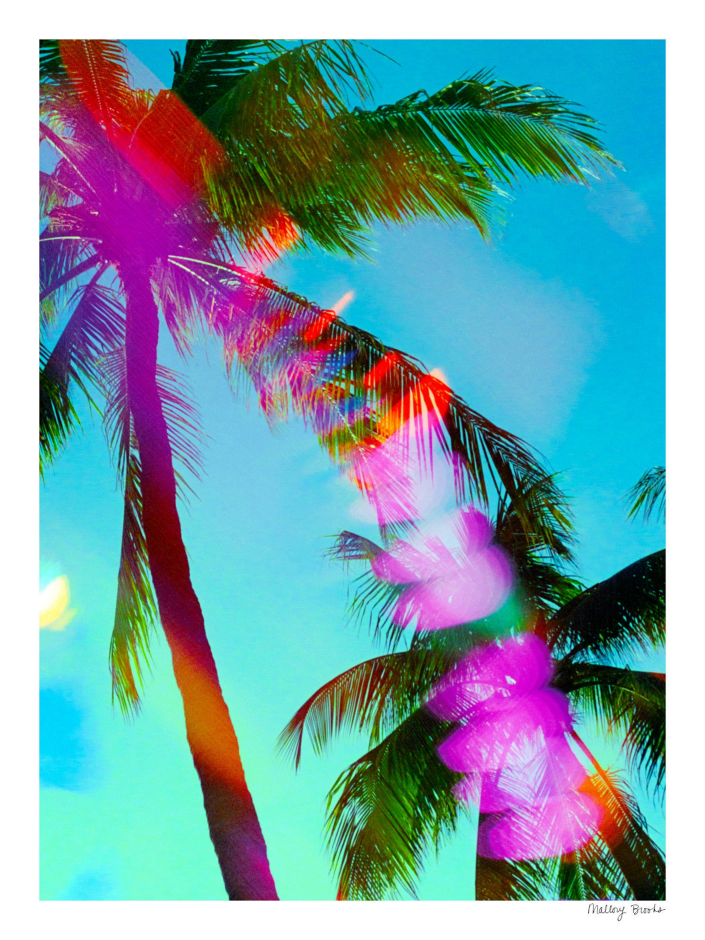 South Beach Pulse No. 7