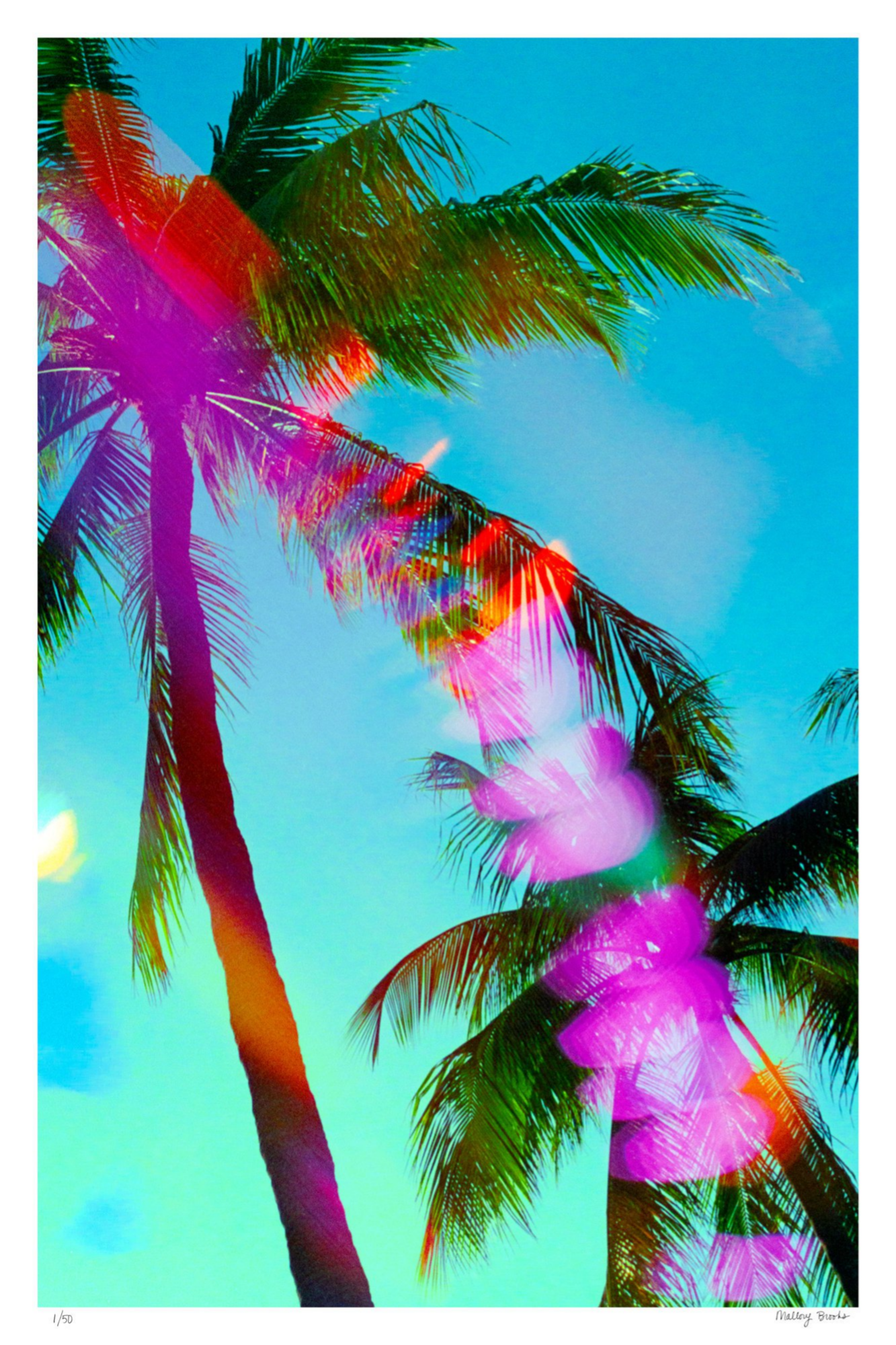 South Beach Pulse No. 7