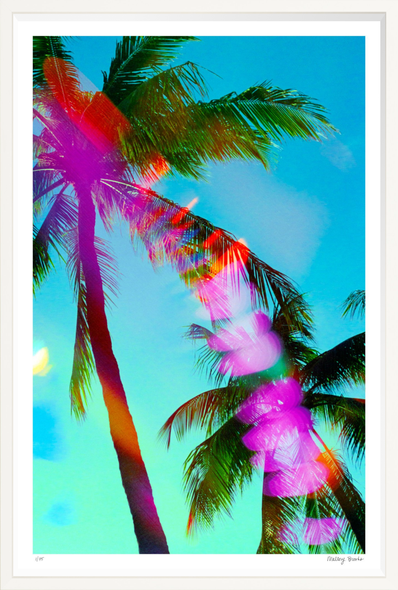 South Beach Pulse No. 7