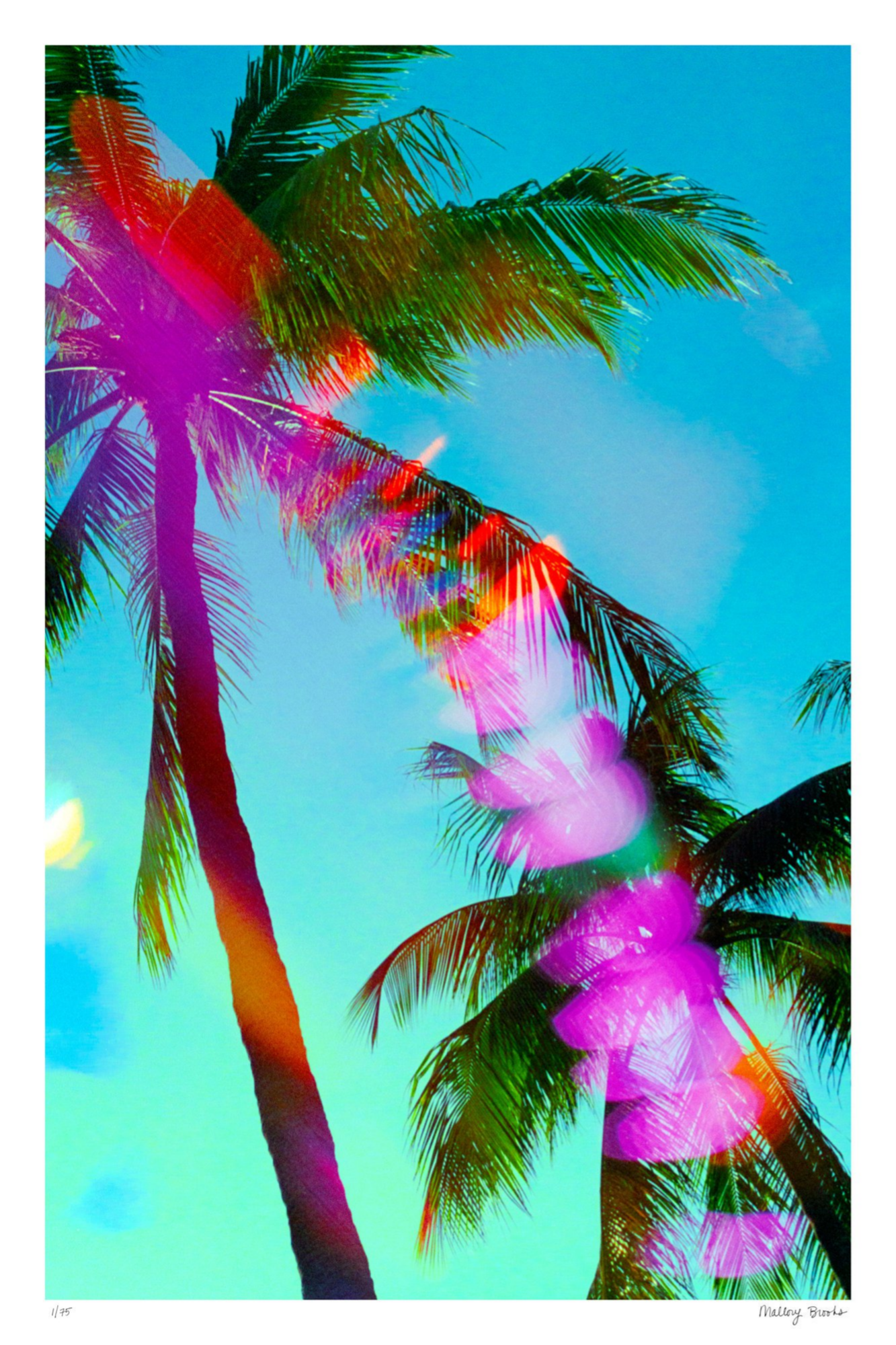 South Beach Pulse No. 7