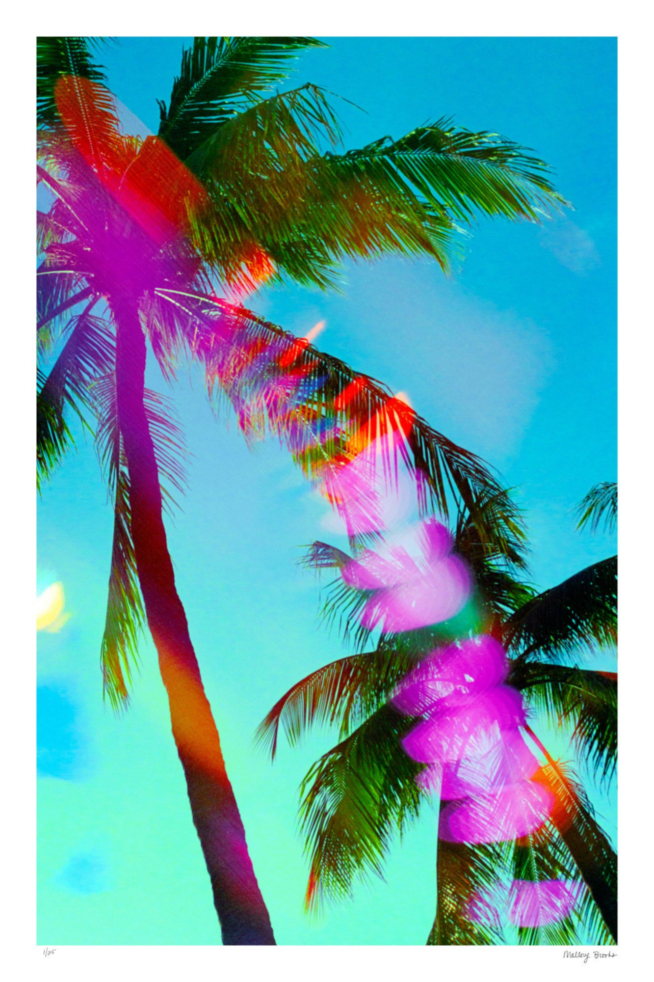 South Beach Pulse No. 7