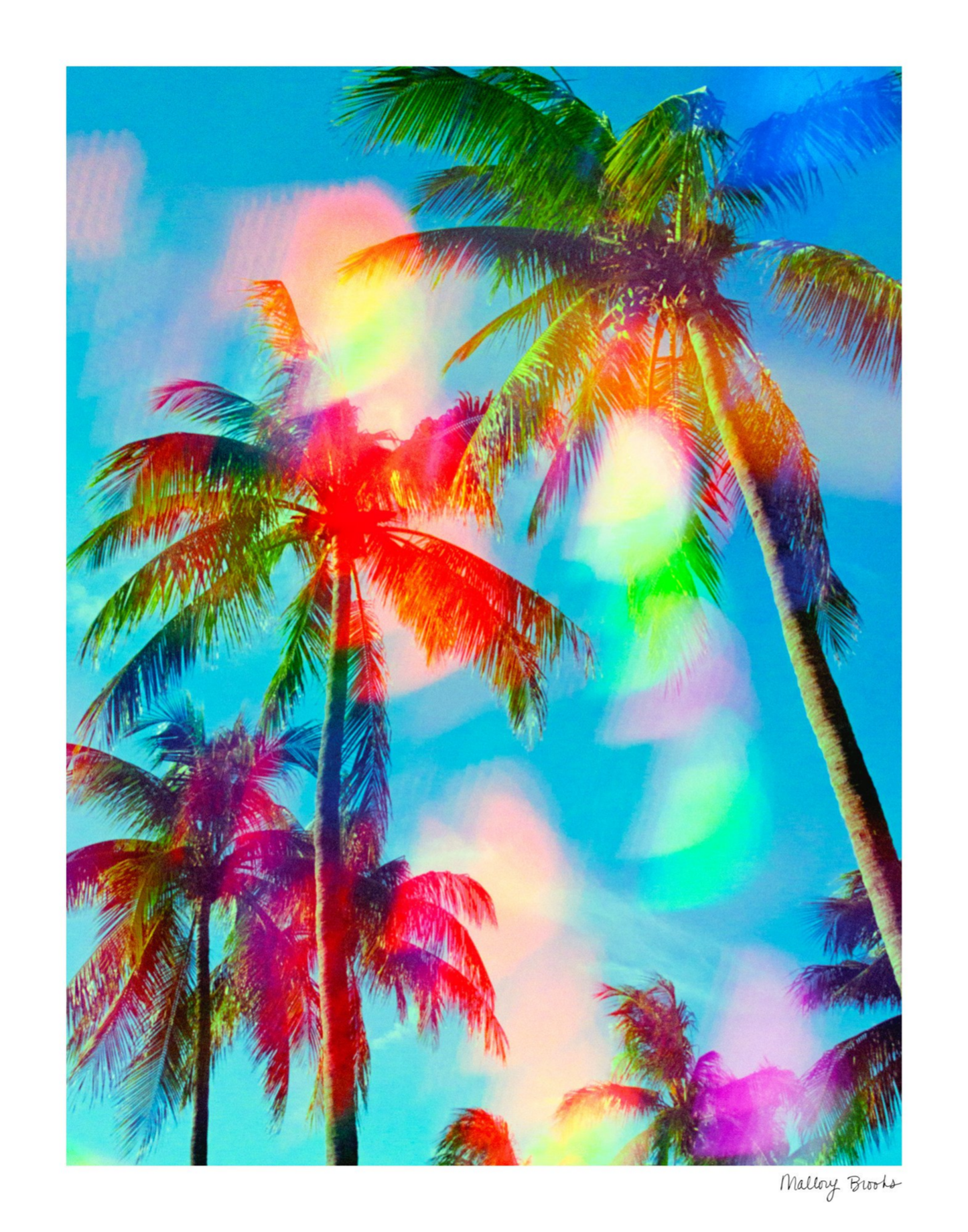 South Beach Pulse No. 8