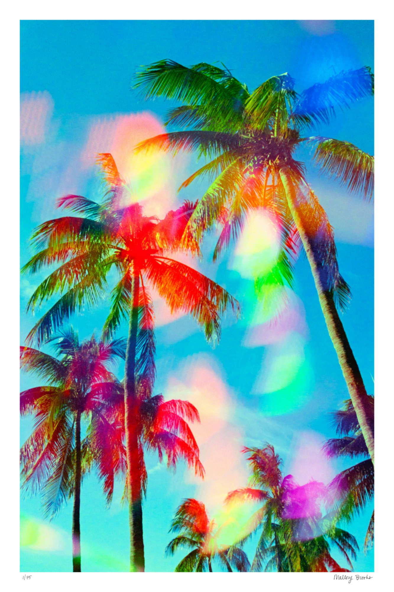 South Beach Pulse No. 8