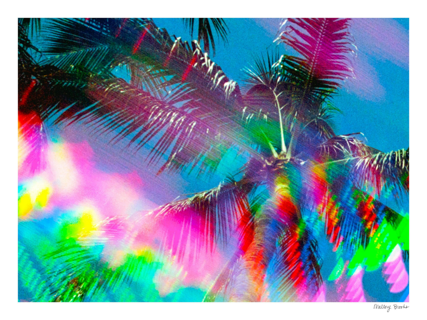 South Beach Pulse No. 9