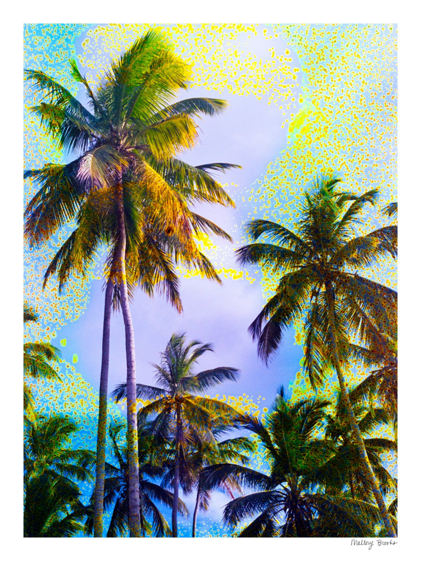 Take Me There No. 3