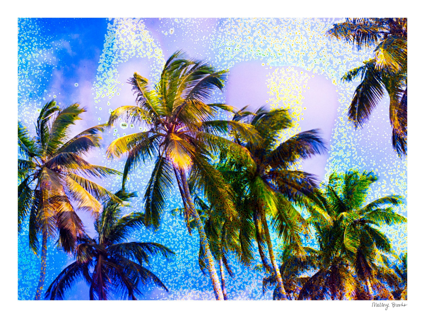 Take Me There No. 4