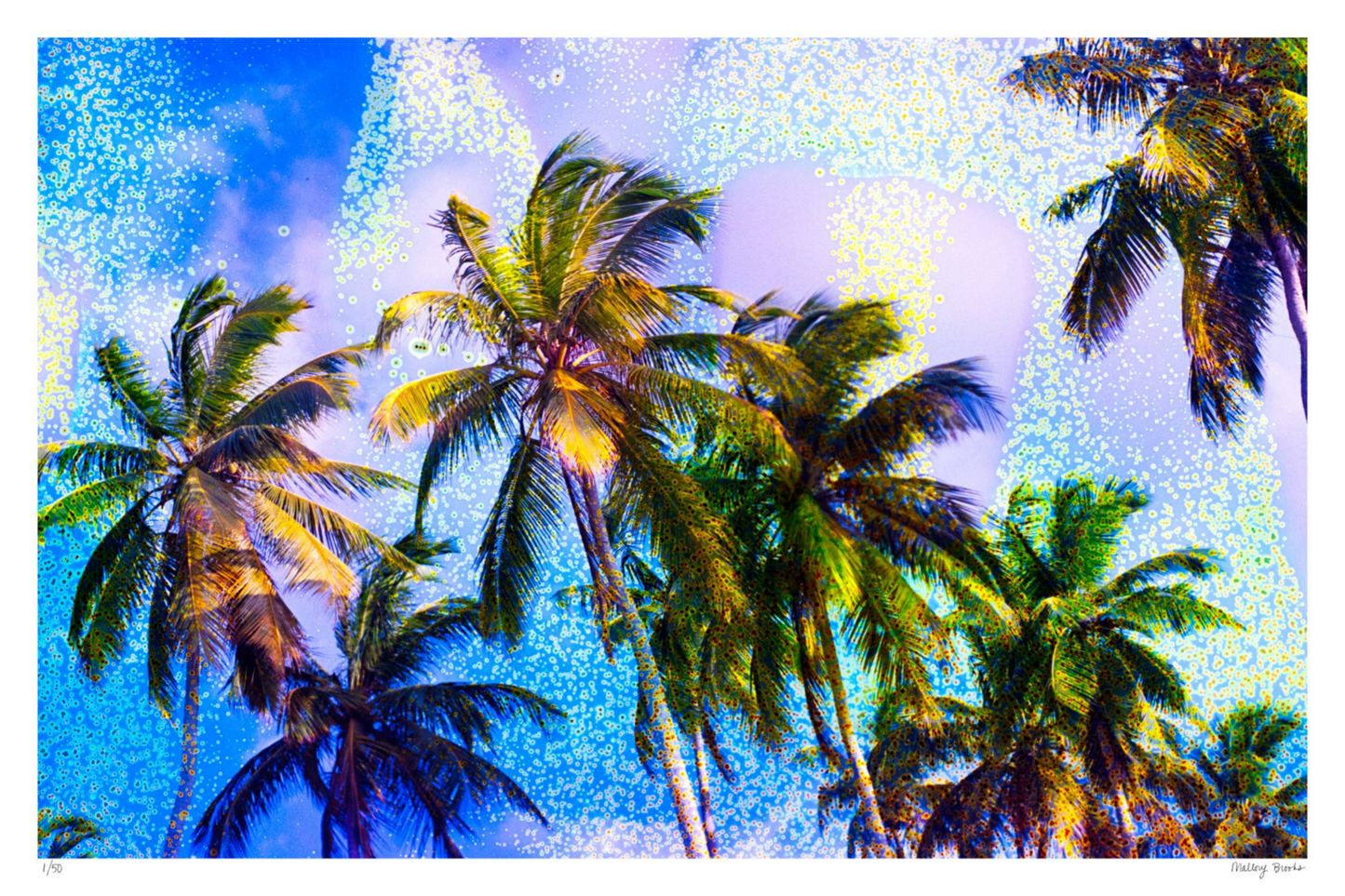 Take Me There No. 4