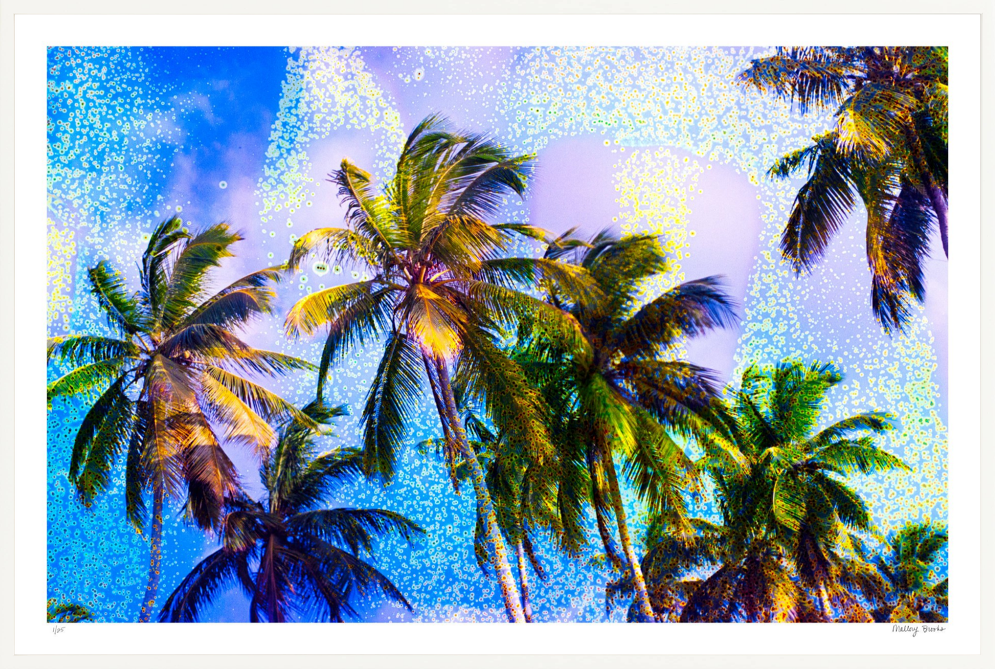 Take Me There No. 4