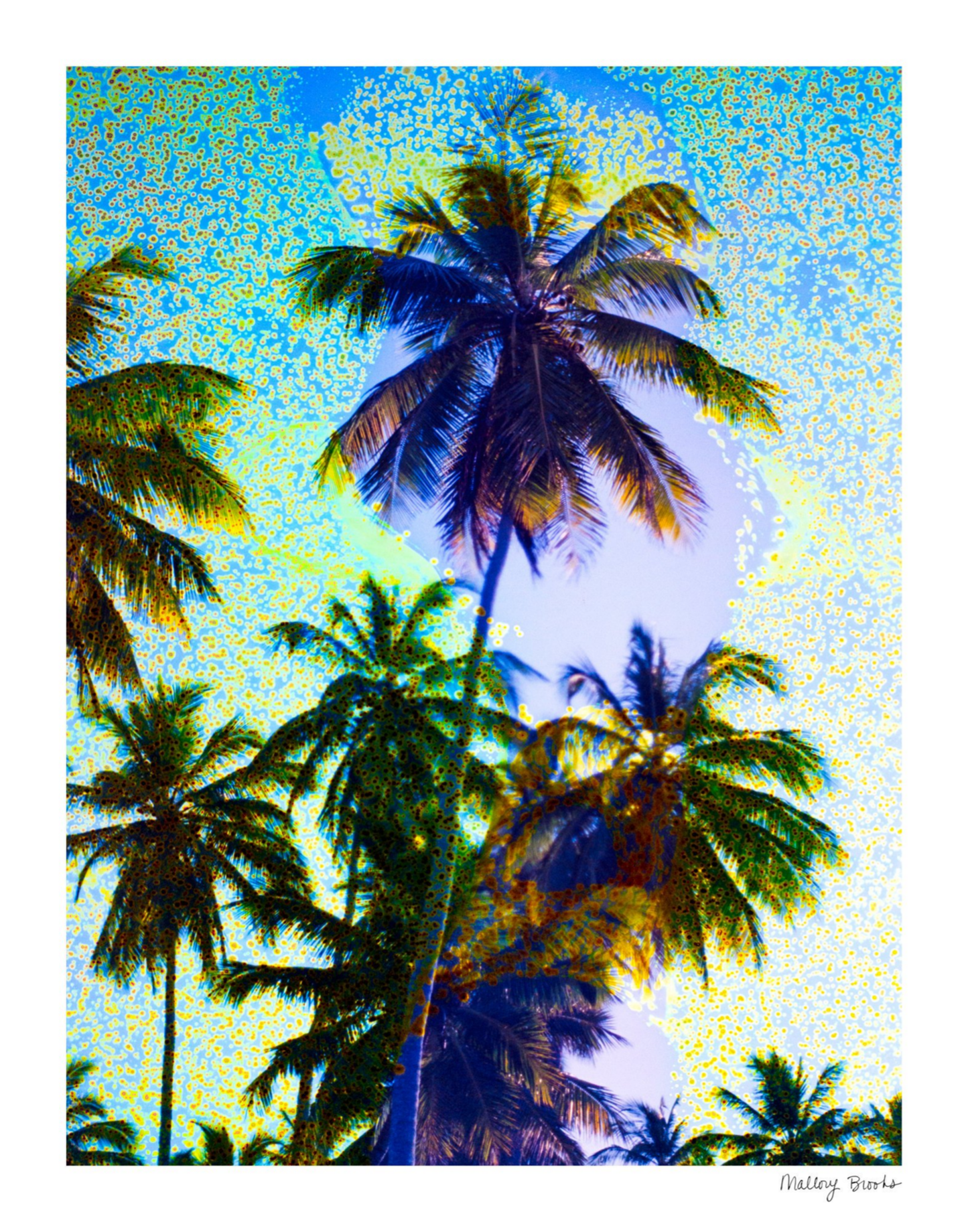 Take Me There No. 5