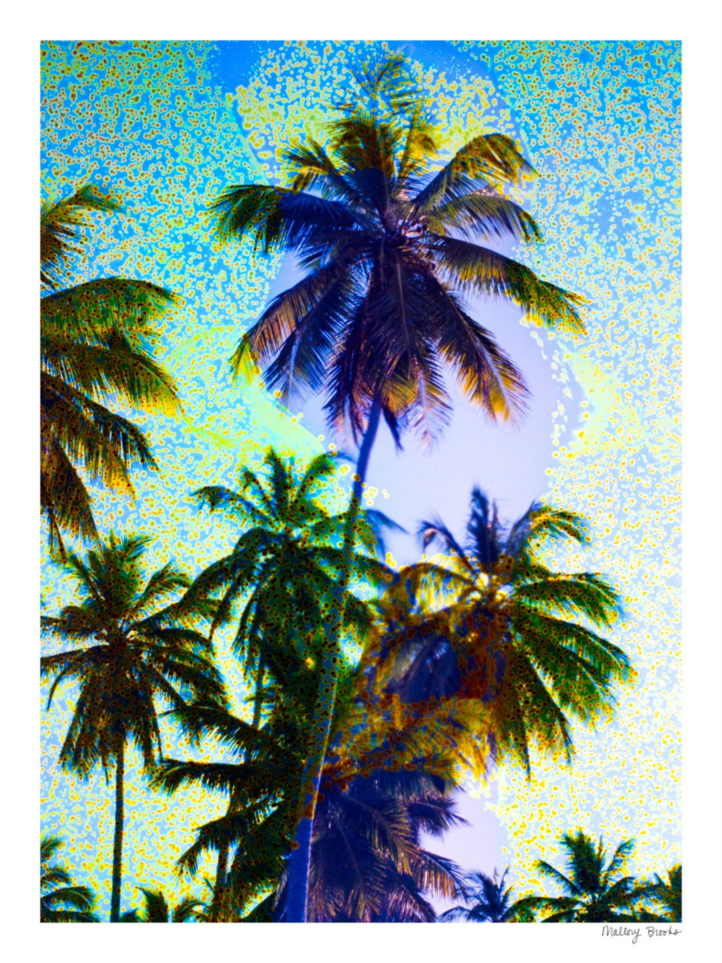 Take Me There No. 5