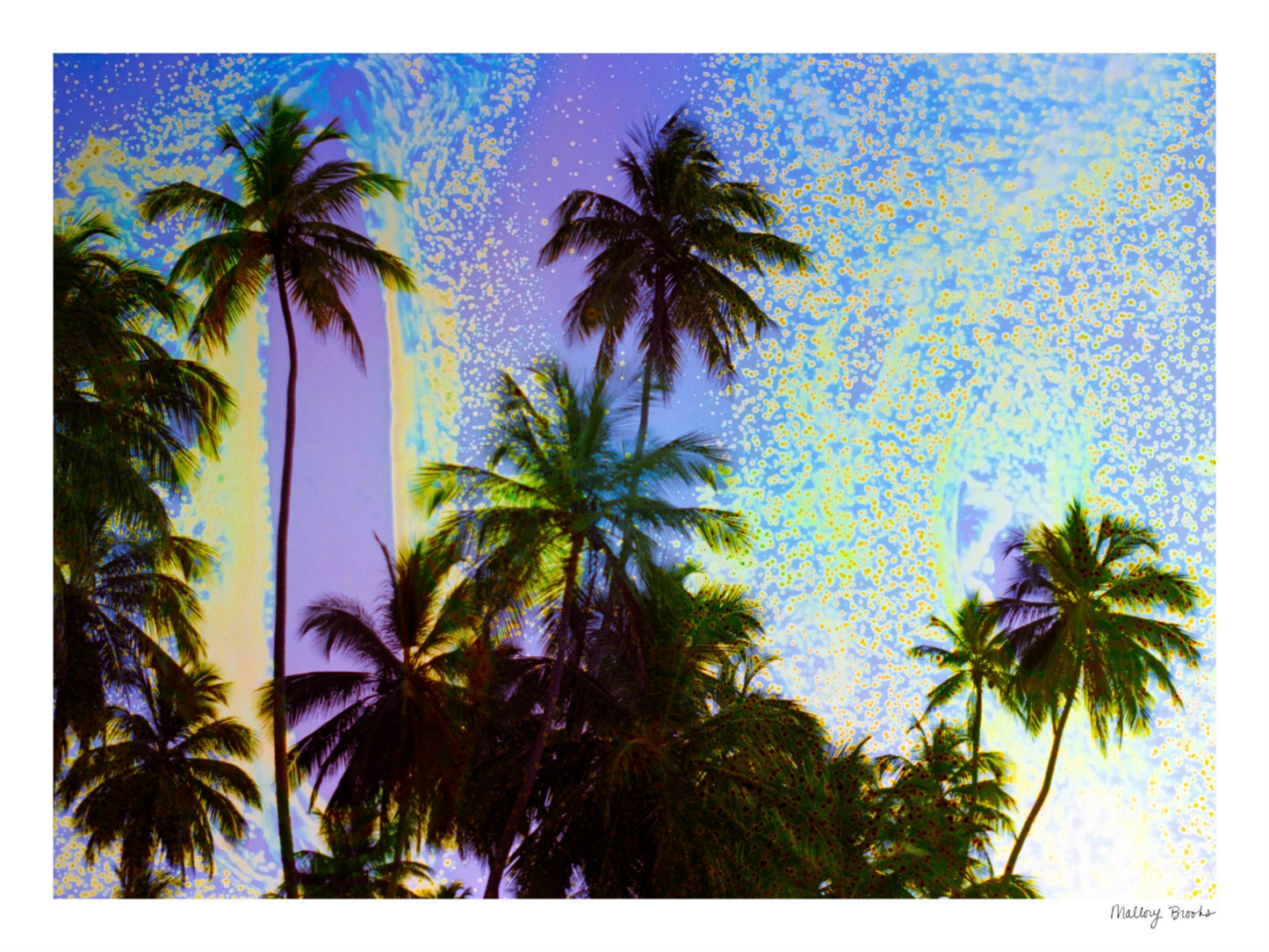 Take Me There No. 6