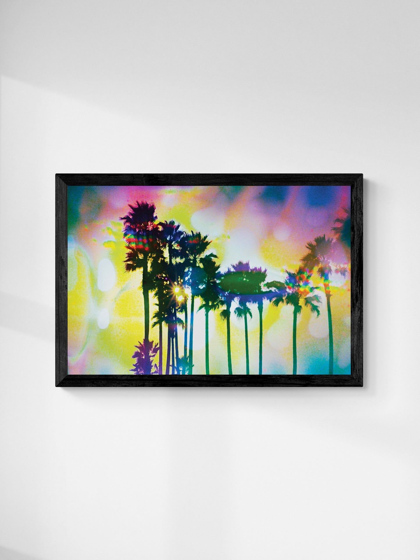 Aura Palms