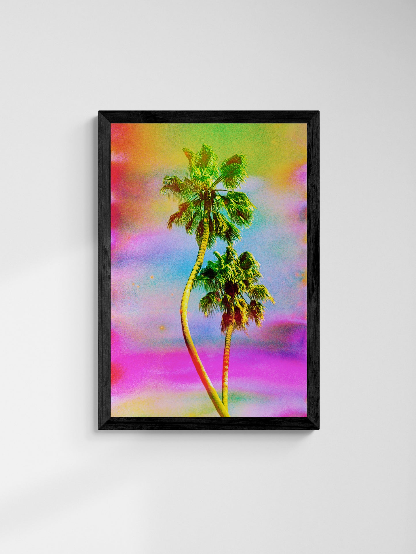 Dancing Palms