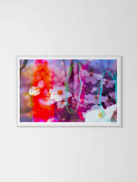 Electric Dogwoods No. 1