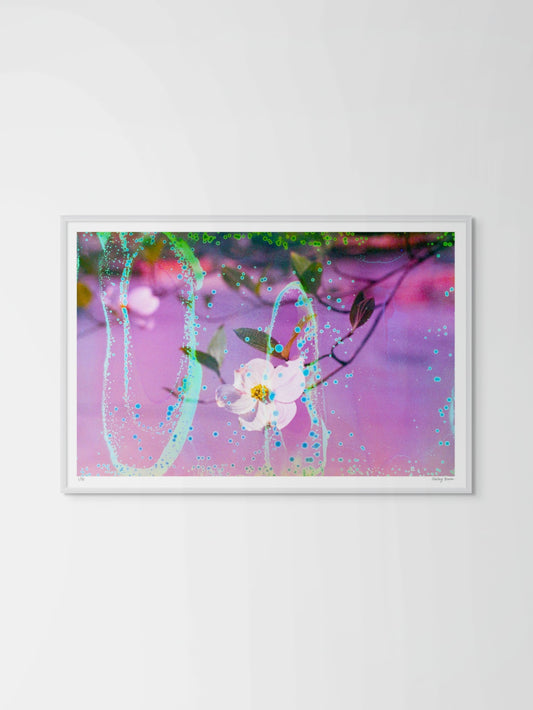 Electric Dogwoods No. 10