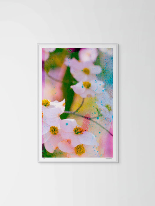 Electric Dogwoods No. 11