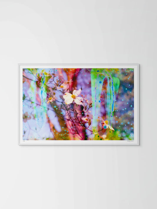 Electric Dogwoods No. 12