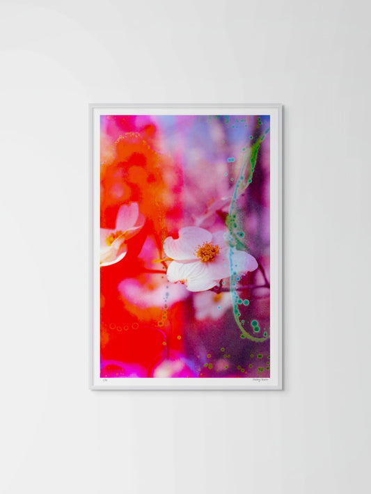 Electric Dogwoods No. 2