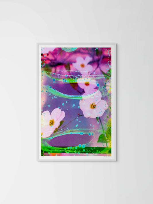 Electric Dogwoods No. 3