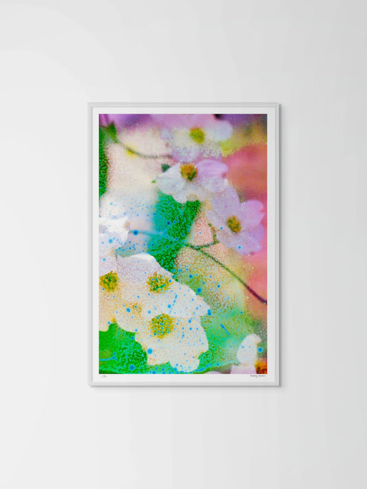 Electric Dogwoods No. 4