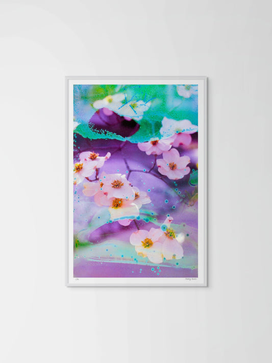 Electric Dogwoods No. 5