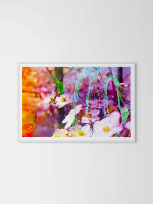 Electric Dogwoods No. 6