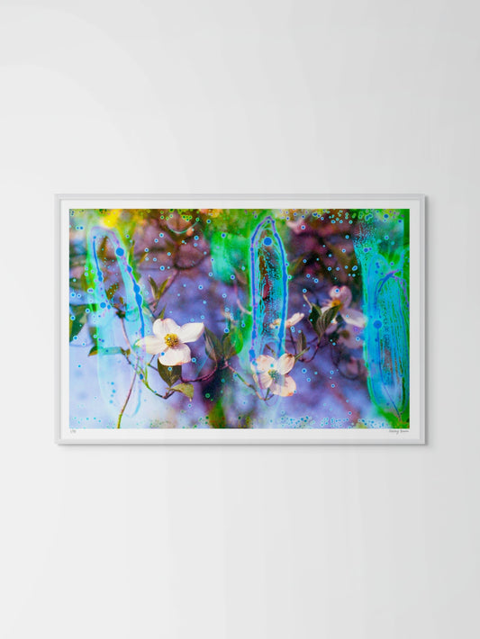 Electric Dogwoods No. 9