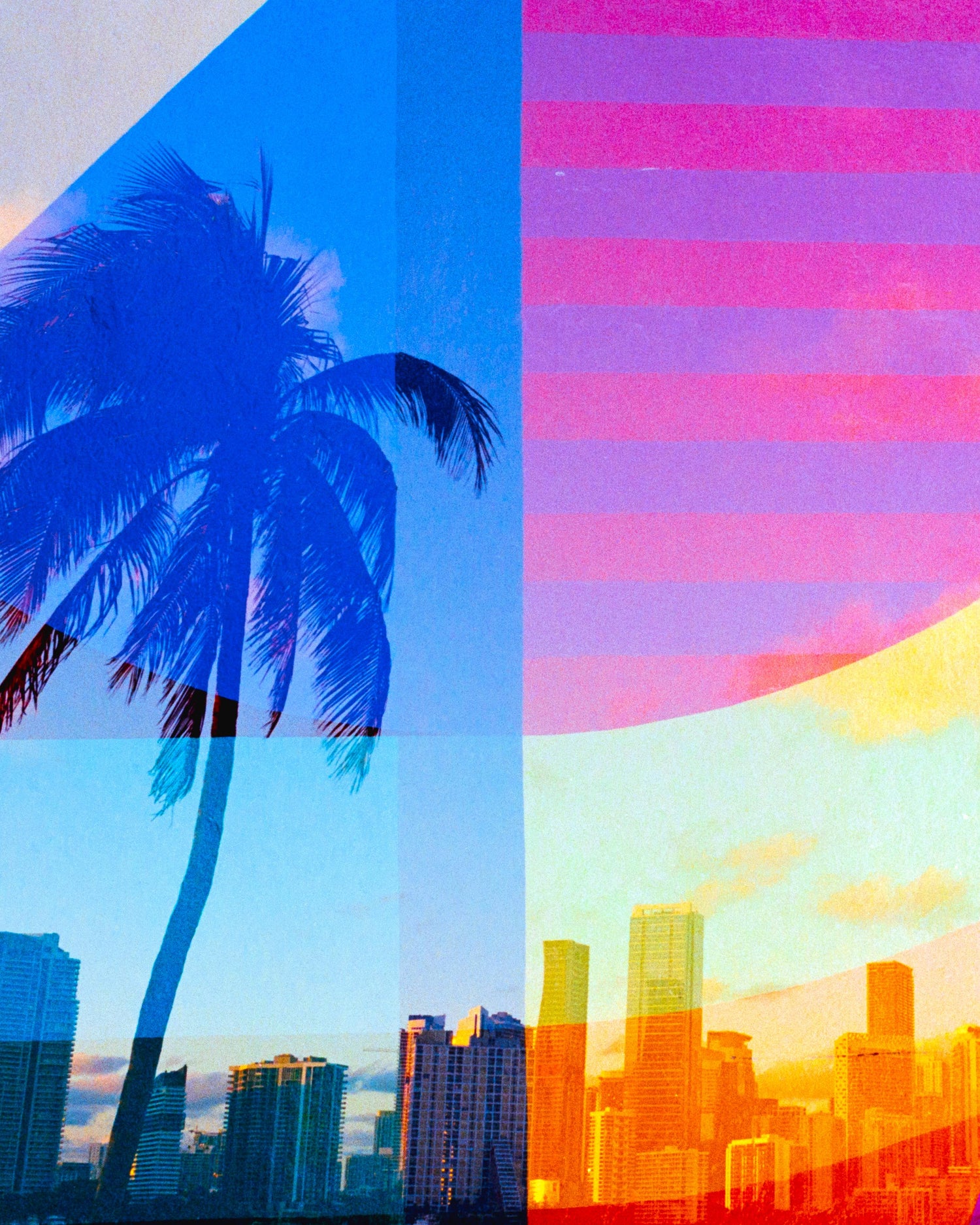 Collage of a palm tree, city skyline, and colorful abstract shapes.