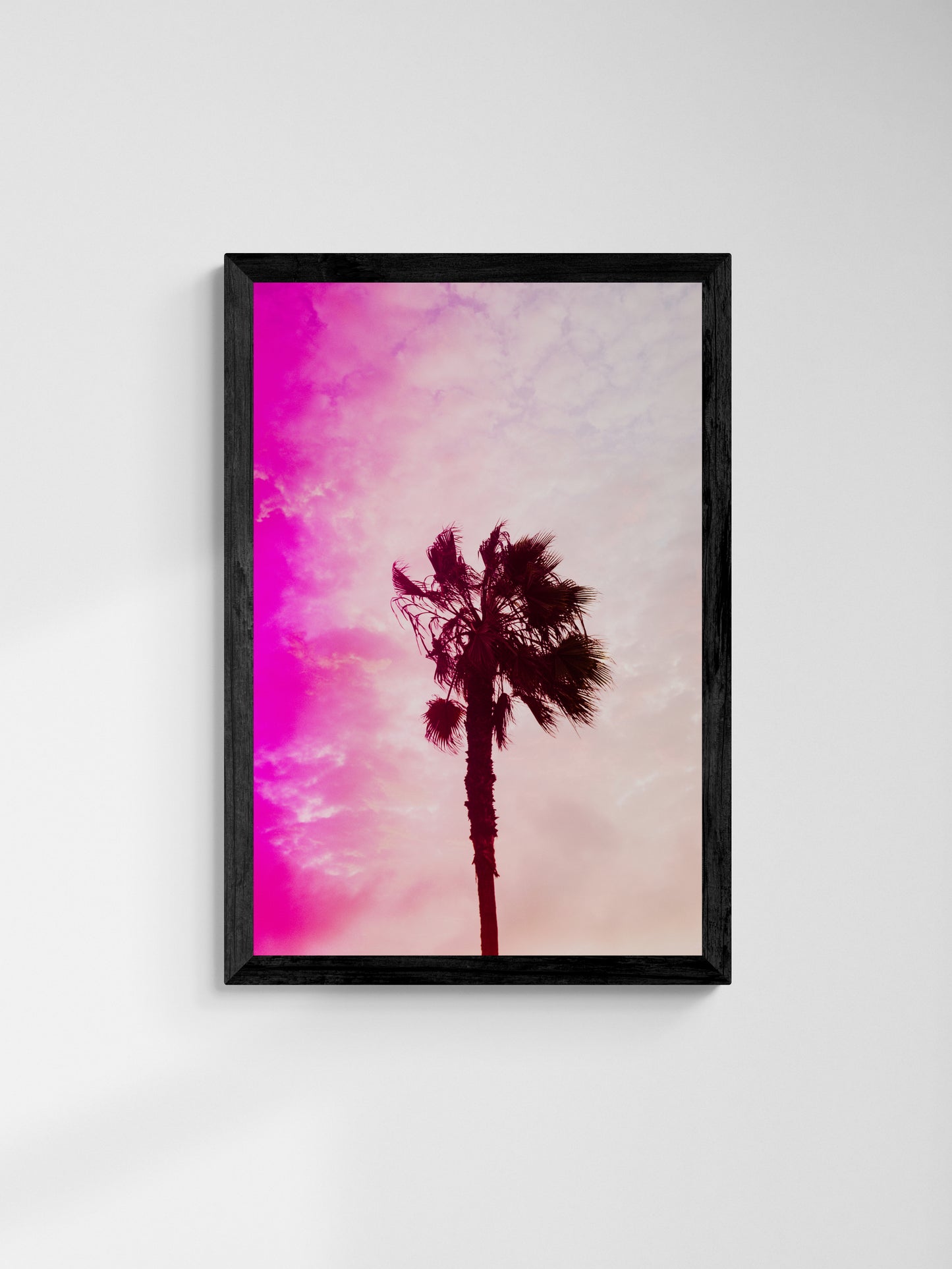 Pink Palm