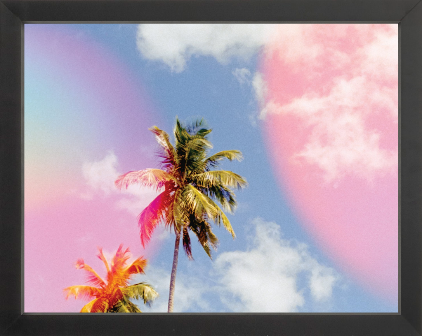 Bubblegum Palms