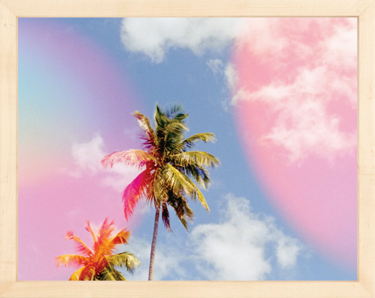 Bubblegum Palms