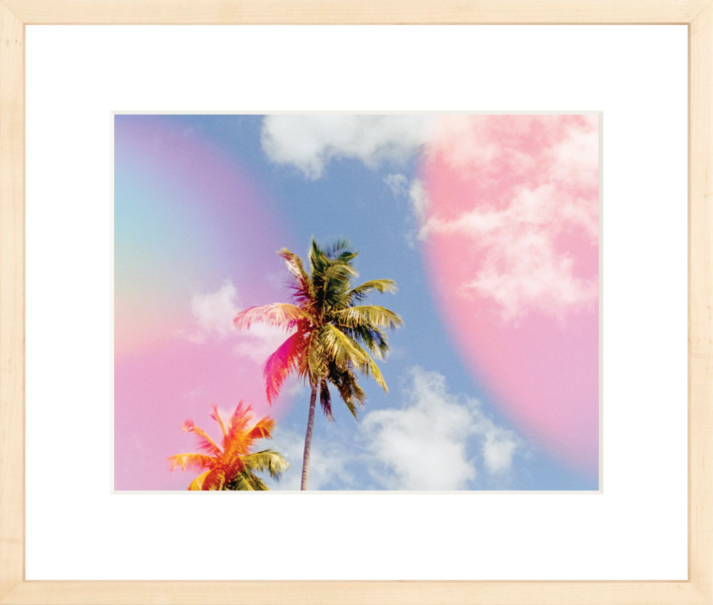 Bubblegum Palms