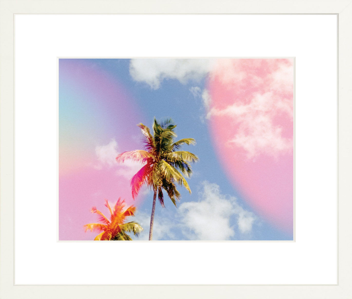 Bubblegum Palms