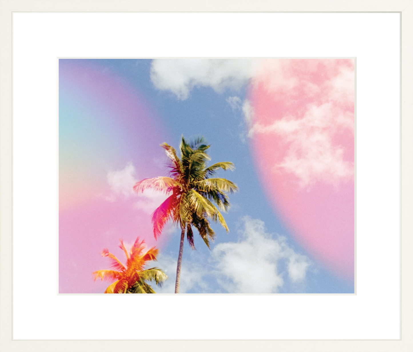 Bubblegum Palms